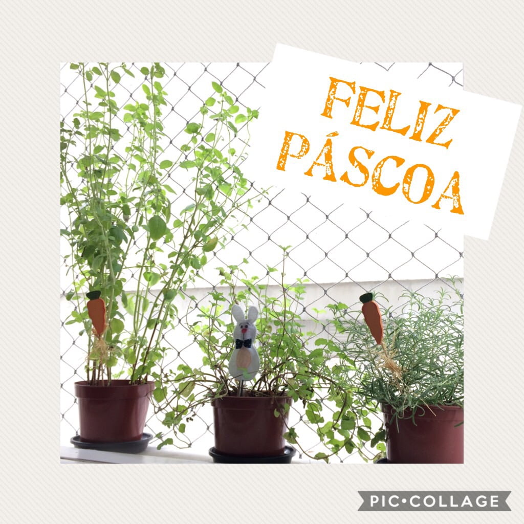 Páscoa 2017