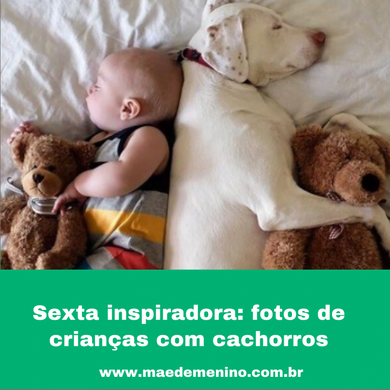 crianças com cachorros