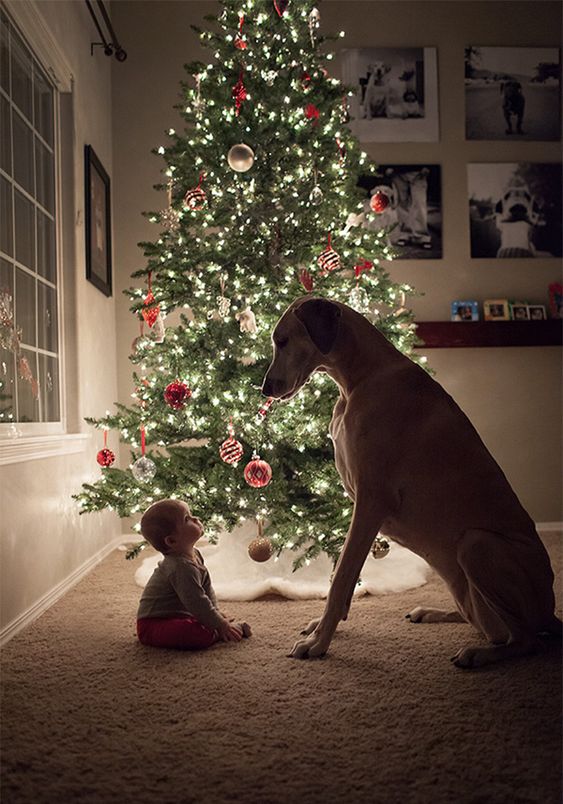 criança e cachorro