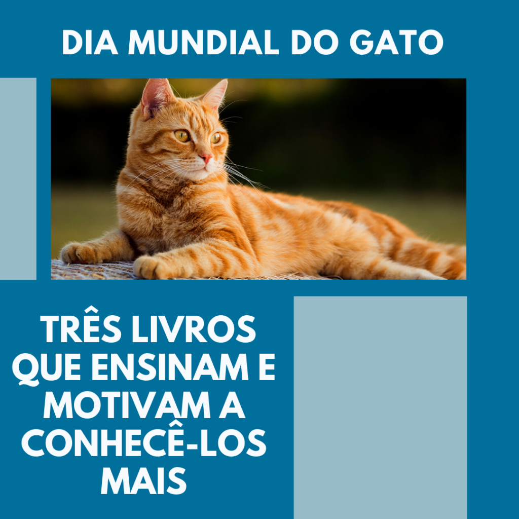 No Dia Mundial do Gato, relembre 14 personagens inspirados no