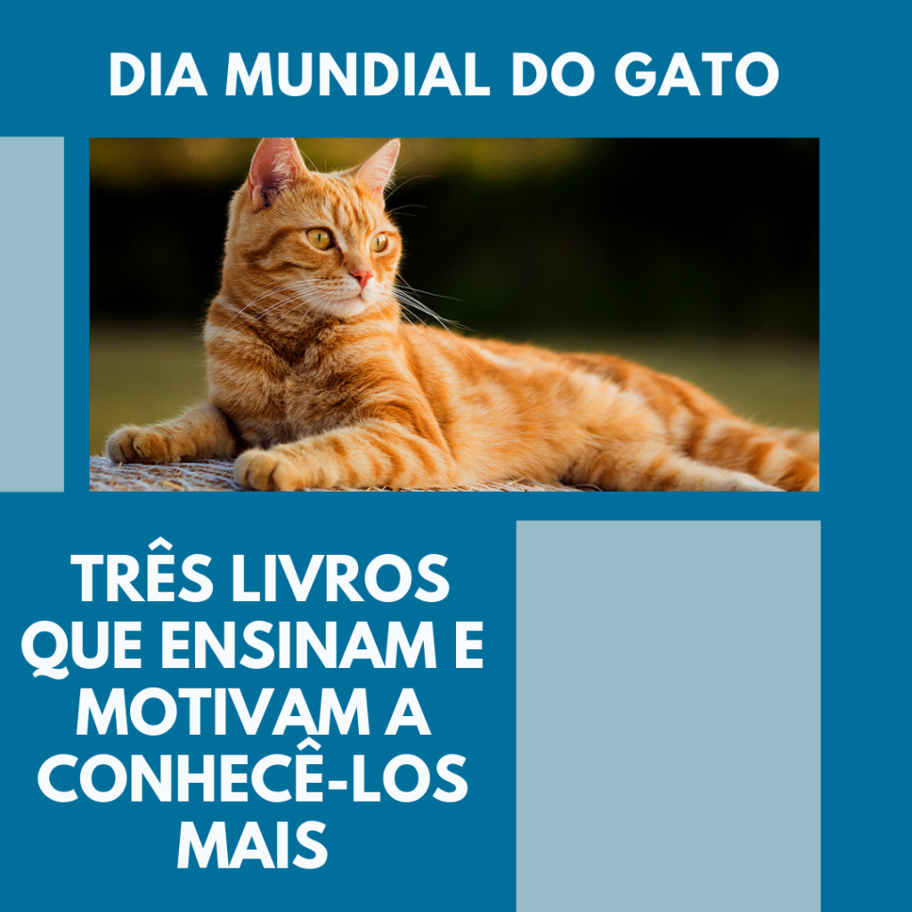 Dia Mundial do Gato três livros para conhecêlos mais » Mãe de Menino